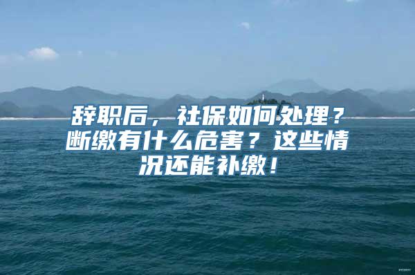 辞职后，社保如何处理？断缴有什么危害？这些情况还能补缴！