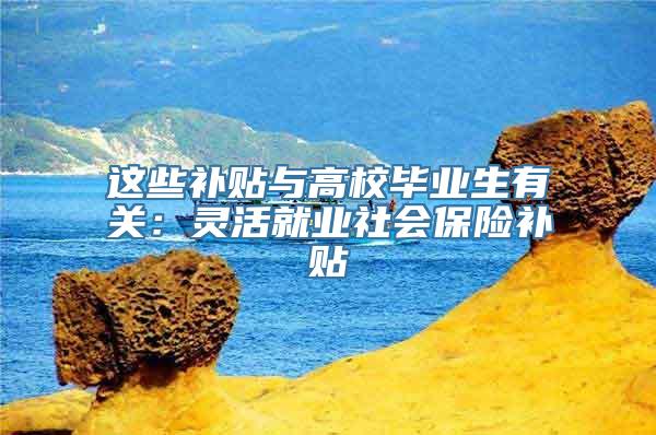 这些补贴与高校毕业生有关：灵活就业社会保险补贴