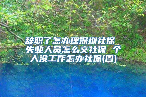 辞职了怎办理深圳社保 失业人员怎么交社保 个人没工作怎办社保(图)