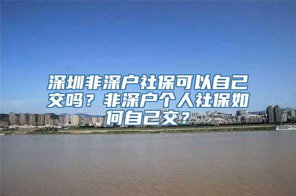 深圳非深户社保可以自己交吗？非深户个人社保如何自己交？