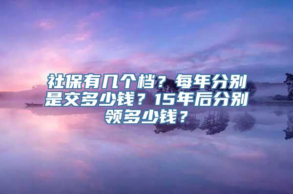 社保有几个档？每年分别是交多少钱？15年后分别领多少钱？