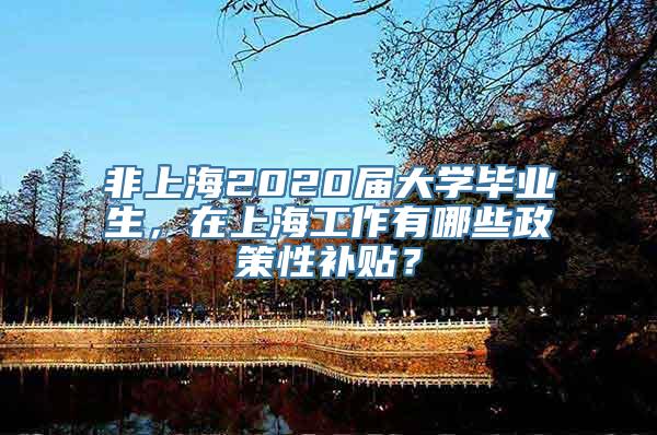 非上海2020届大学毕业生，在上海工作有哪些政策性补贴？