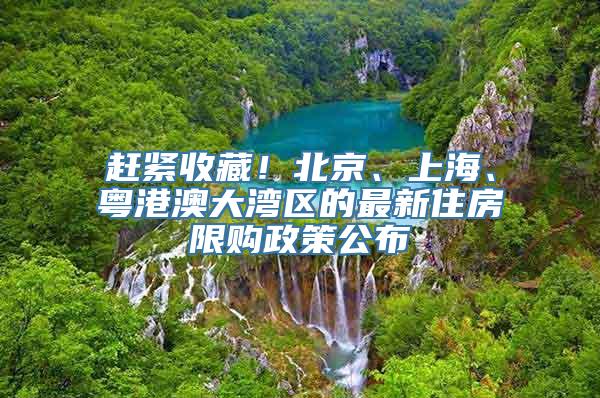 赶紧收藏！北京、上海、粤港澳大湾区的最新住房限购政策公布