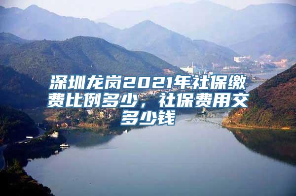 深圳龙岗2021年社保缴费比例多少，社保费用交多少钱