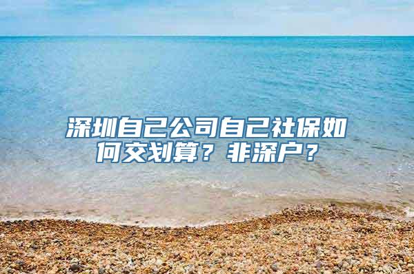 深圳自己公司自己社保如何交划算？非深户？