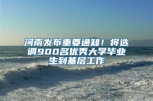 河南发布重要通知！将选调900名优秀大学毕业生到基层工作