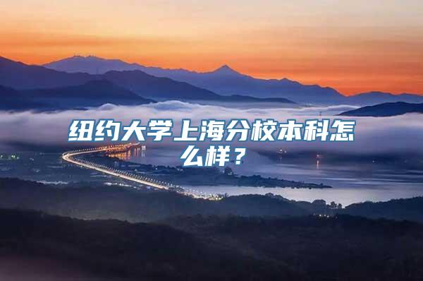 纽约大学上海分校本科怎么样？