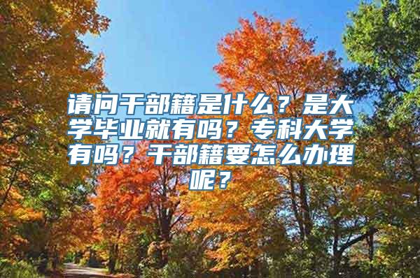 请问干部籍是什么？是大学毕业就有吗？专科大学有吗？干部籍要怎么办理呢？