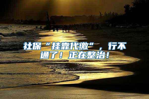 社保“挂靠代缴”，行不通了！正在整治！