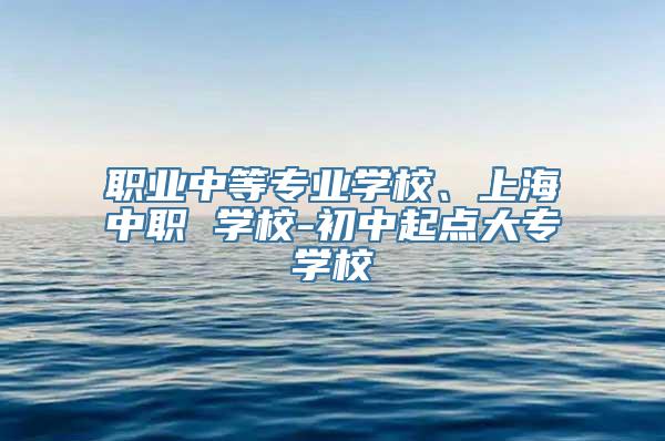 职业中等专业学校、上海中职 学校-初中起点大专学校