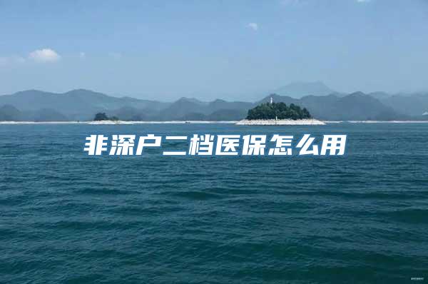 非深户二档医保怎么用