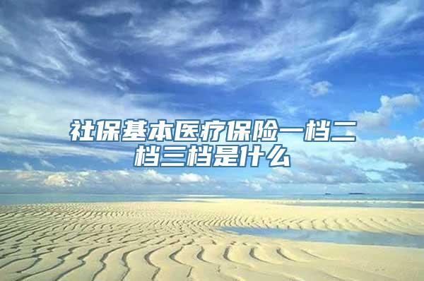 社保基本医疗保险一档二档三档是什么