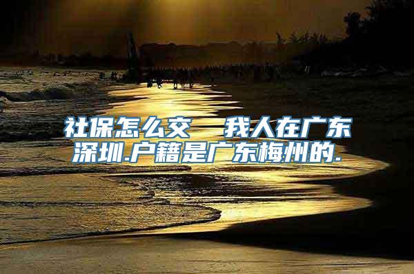 社保怎么交  我人在广东深圳.户籍是广东梅州的.