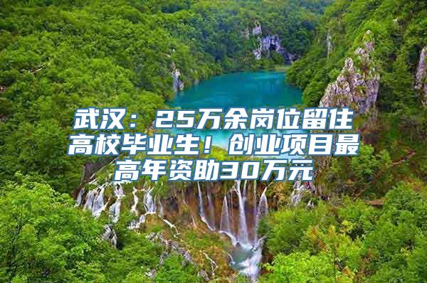 武汉：25万余岗位留住高校毕业生！创业项目最高年资助30万元