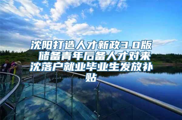 沈阳打造人才新政3.0版 储备青年后备人才对来沈落户就业毕业生发放补贴