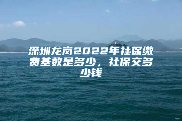 深圳龙岗2022年社保缴费基数是多少，社保交多少钱