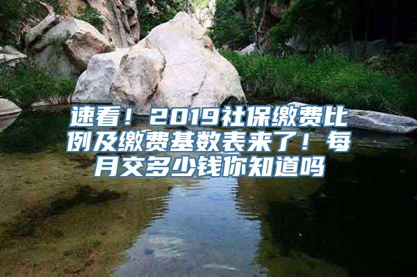 速看！2019社保缴费比例及缴费基数表来了！每月交多少钱你知道吗