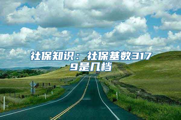 社保知识：社保基数3179是几档