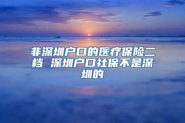 非深圳户口的医疗保险二档 深圳户口社保不是深圳的