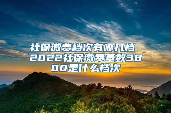 社保缴费档次有哪几档 2022社保缴费基数3800是什么档次