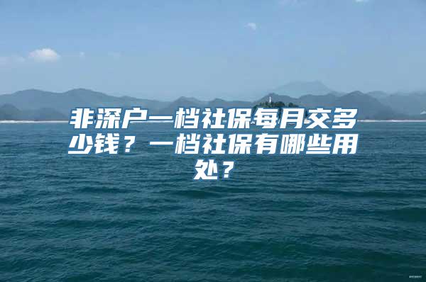 非深户一档社保每月交多少钱？一档社保有哪些用处？