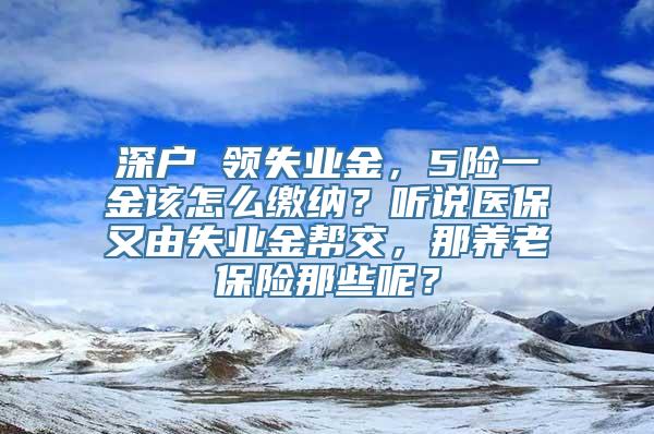 深户 领失业金，5险一金该怎么缴纳？听说医保又由失业金帮交，那养老保险那些呢？