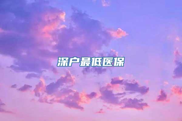 深户最低医保