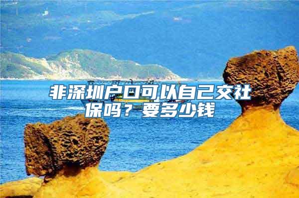 非深圳户口可以自己交社保吗？要多少钱