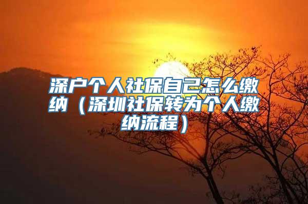 深户个人社保自己怎么缴纳（深圳社保转为个人缴纳流程）