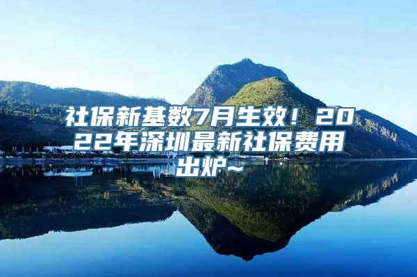 社保新基数7月生效！2022年深圳最新社保费用出炉~