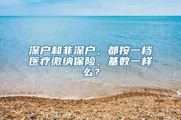 深户和非深户，都按一档医疗缴纳保险，基数一样么？