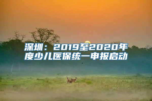 深圳：2019至2020年度少儿医保统一申报启动