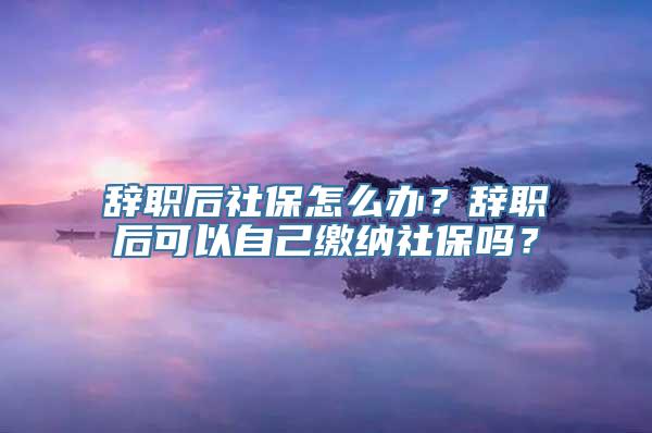 辞职后社保怎么办？辞职后可以自己缴纳社保吗？