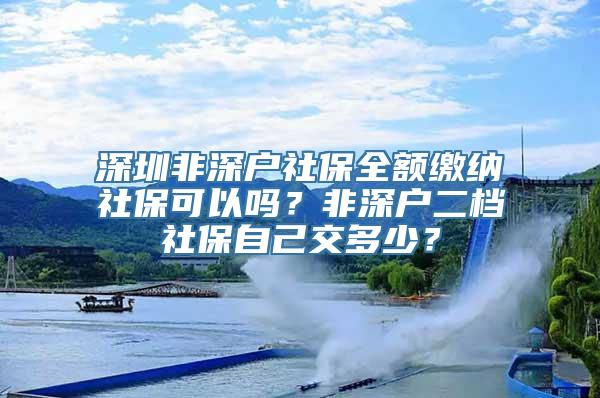 深圳非深户社保全额缴纳社保可以吗？非深户二档社保自己交多少？