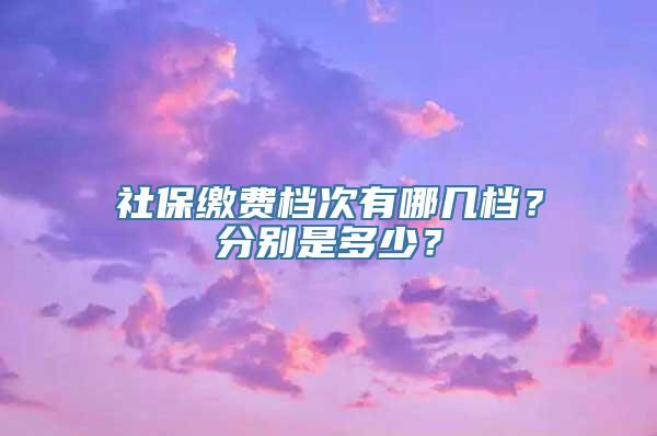 社保缴费档次有哪几档？分别是多少？