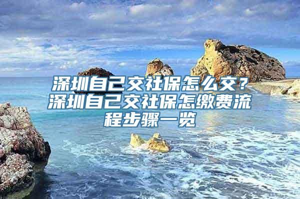 深圳自己交社保怎么交？深圳自己交社保怎缴费流程步骤一览