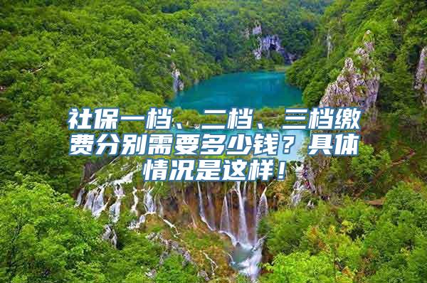 社保一档、二档、三档缴费分别需要多少钱？具体情况是这样！