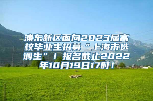 浦东新区面向2023届高校毕业生招募“上海市选调生”！报名截止2022年10月19日17时！