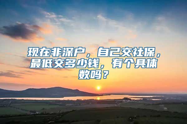 现在非深户，自己交社保，最低交多少钱，有个具体数吗？