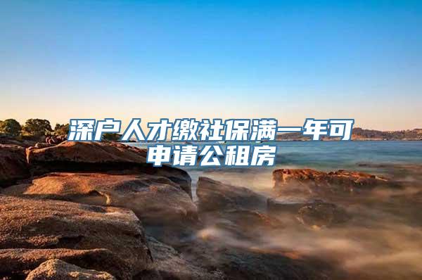 深户人才缴社保满一年可申请公租房