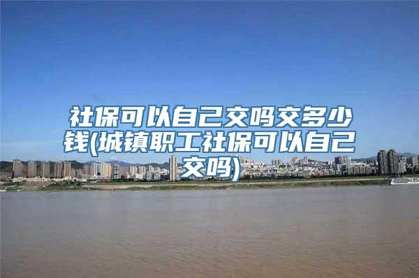 社保可以自己交吗交多少钱(城镇职工社保可以自己交吗)