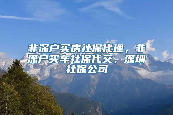 非深户买房社保代理，非深户买车社保代交，深圳社保公司