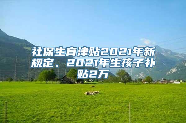 社保生育津贴2021年新规定、2021年生孩子补贴2万