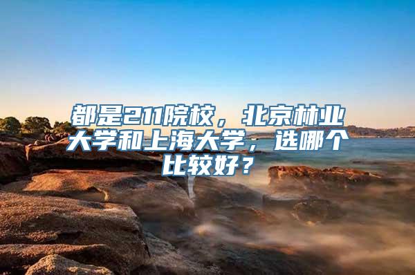 都是211院校，北京林业大学和上海大学，选哪个比较好？