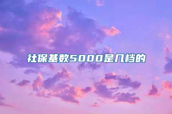 社保基数5000是几档的