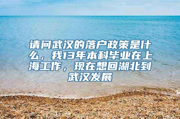 请问武汉的落户政策是什么，我13年本科毕业在上海工作，现在想回湖北到武汉发展