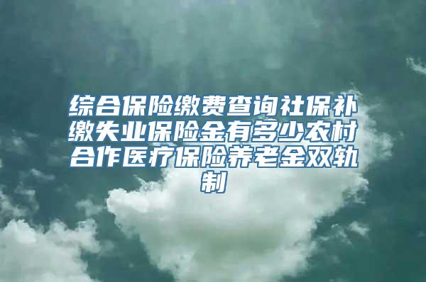 综合保险缴费查询社保补缴失业保险金有多少农村合作医疗保险养老金双轨制