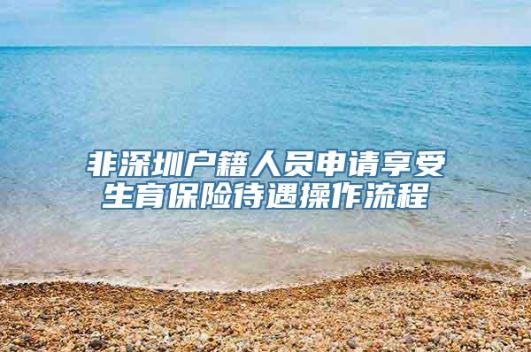 非深圳户籍人员申请享受生育保险待遇操作流程