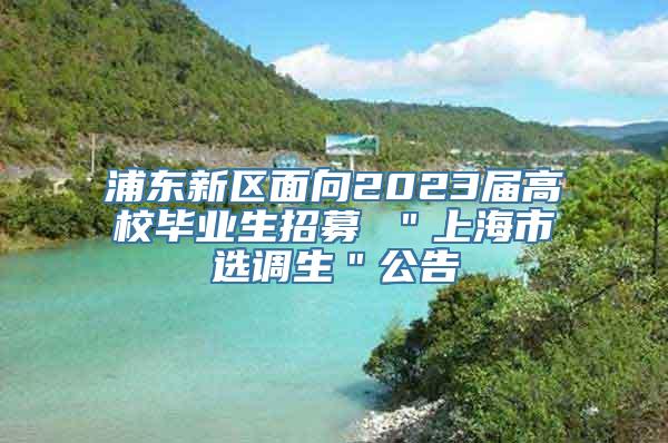 浦东新区面向2023届高校毕业生招募 ＂上海市选调生＂公告