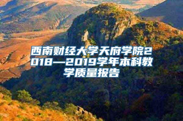 西南财经大学天府学院2018—2019学年本科教学质量报告